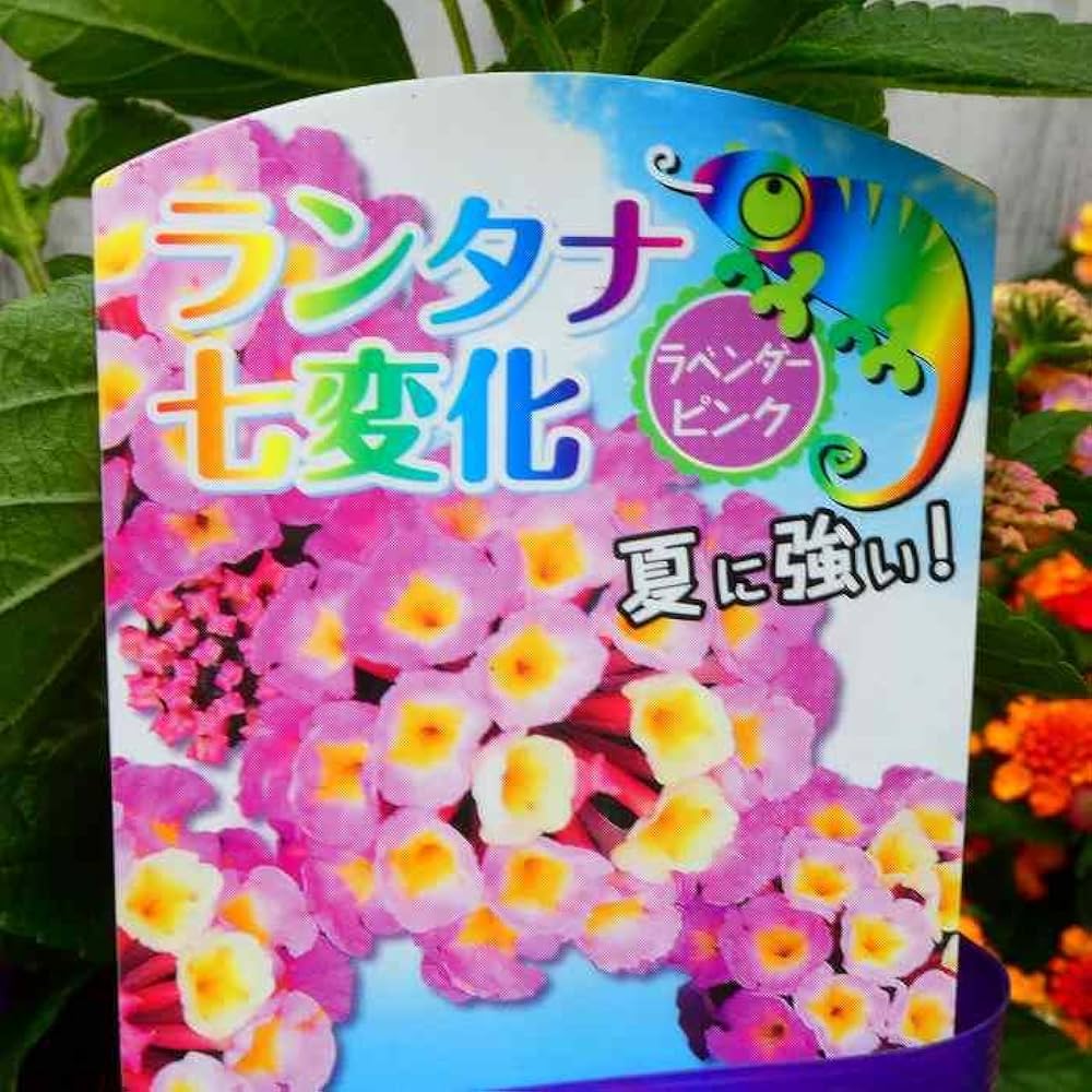 51MTHwrt0+L._UF1000,1000_QL80_.jpg